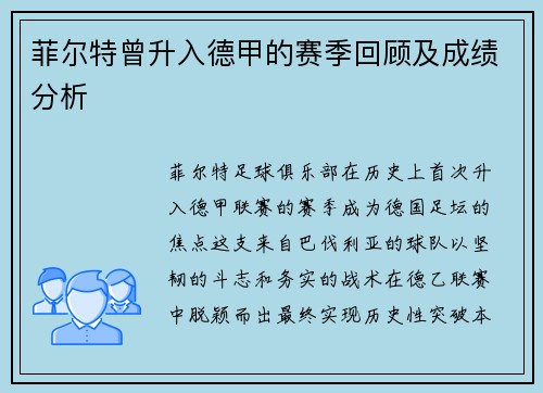 菲尔特曾升入德甲的赛季回顾及成绩分析