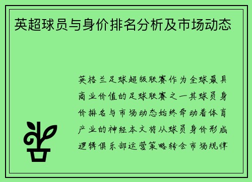 英超球员与身价排名分析及市场动态