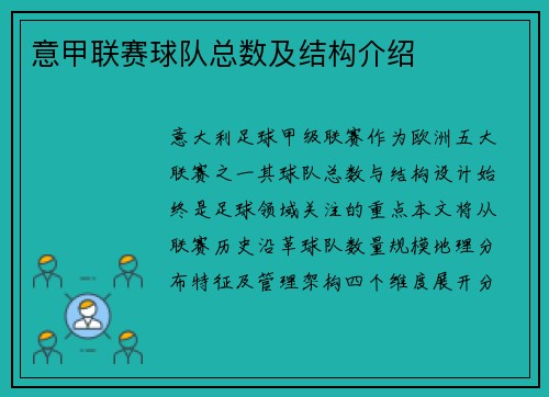 意甲联赛球队总数及结构介绍