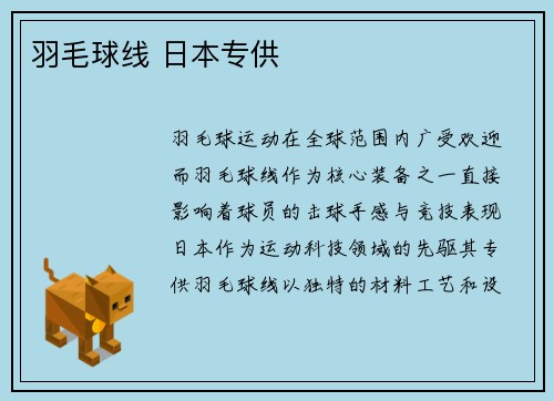 羽毛球线 日本专供